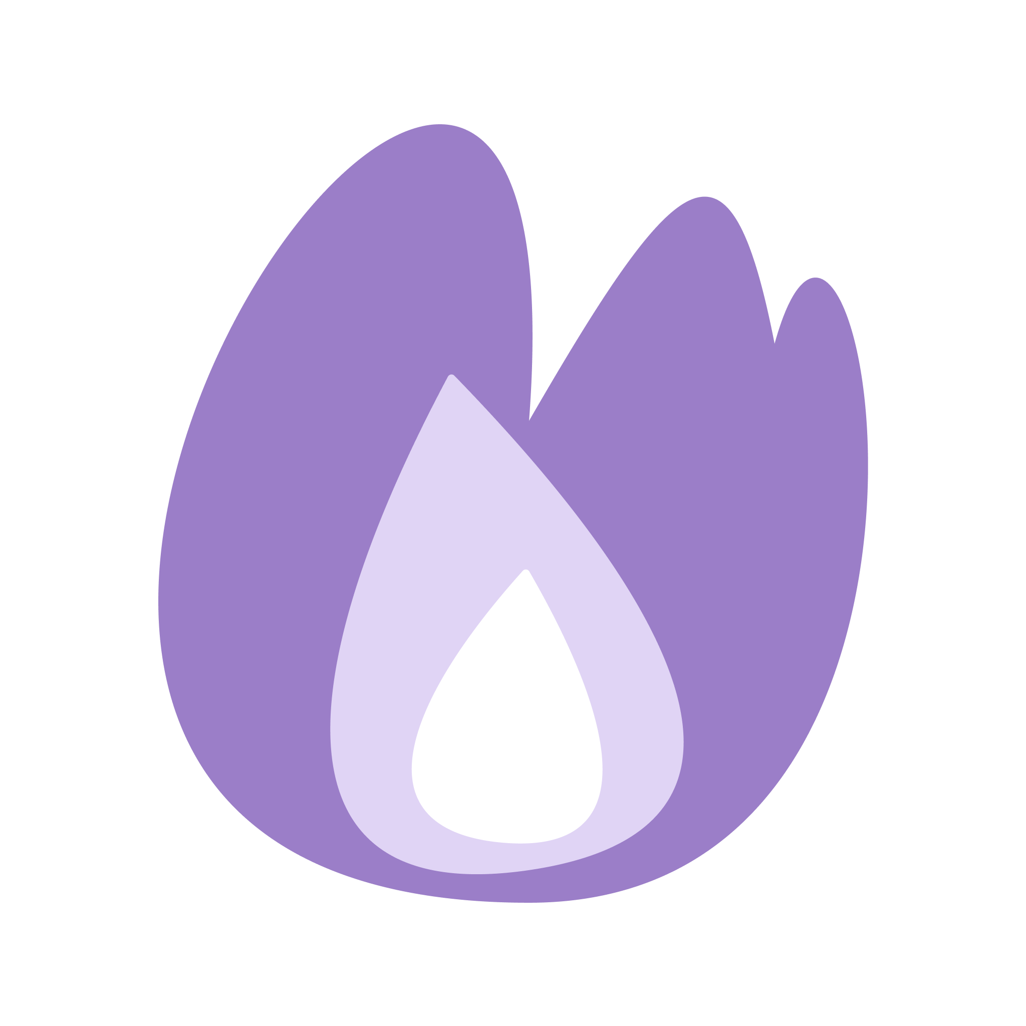 Wisp